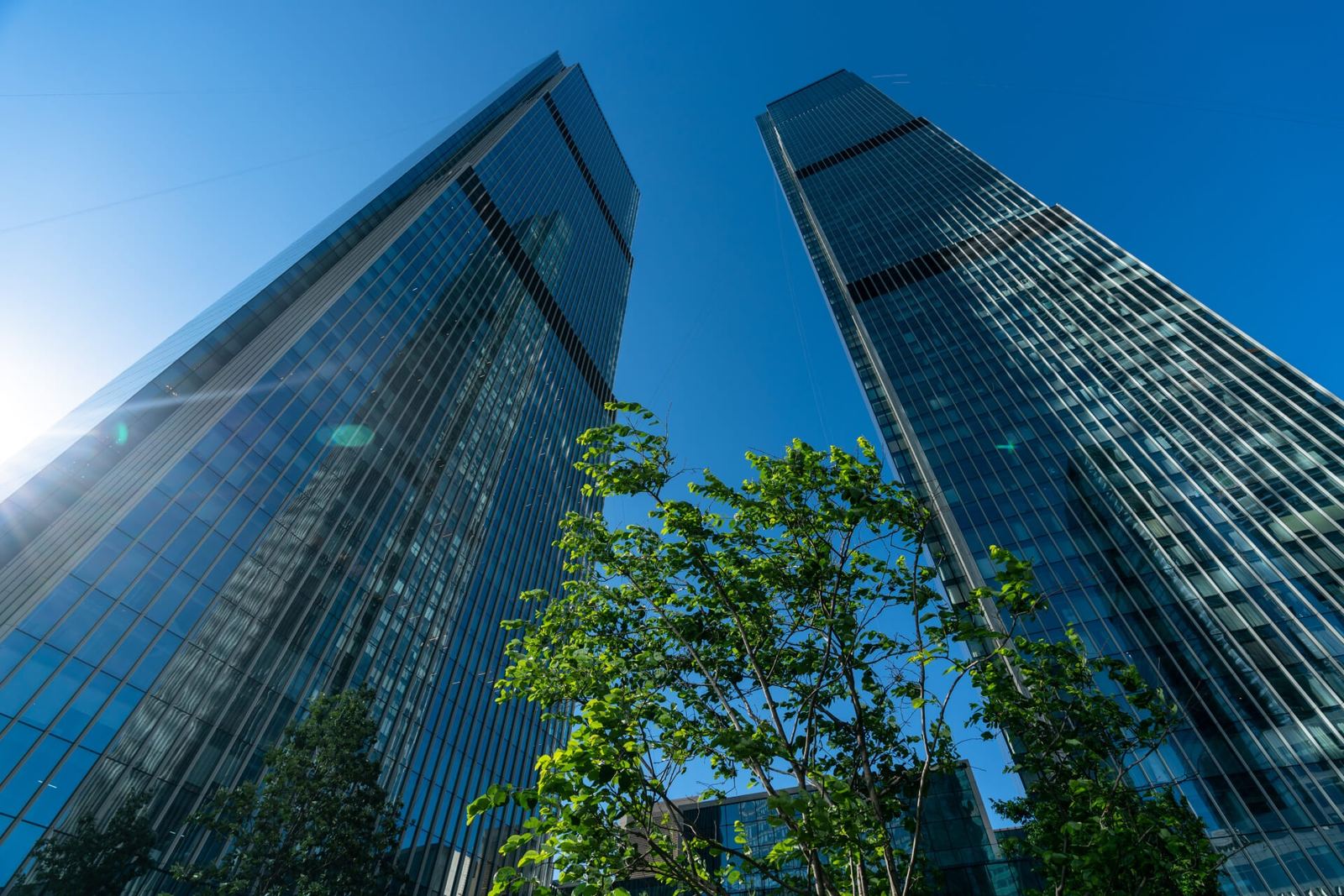 Neva Towers